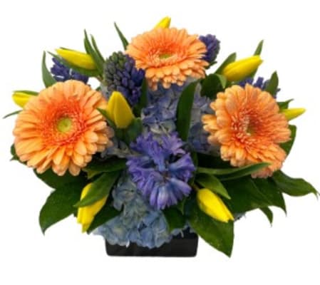 Call Me By Your Name