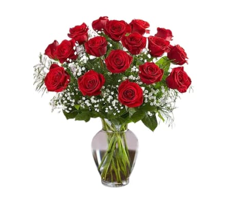 18 Stem Long Red Roses