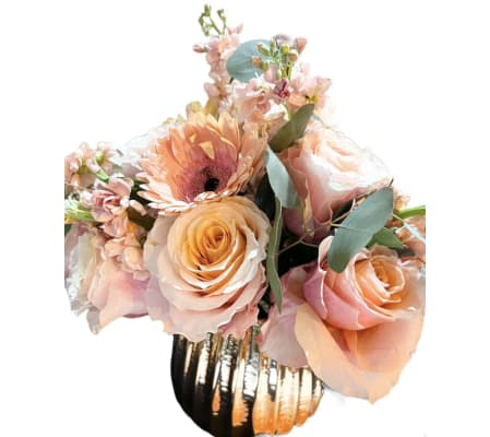 Romance Collection: FLAMINGO