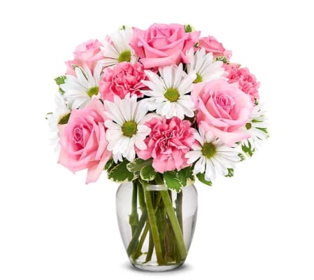 Valentine Daisies & Pinks