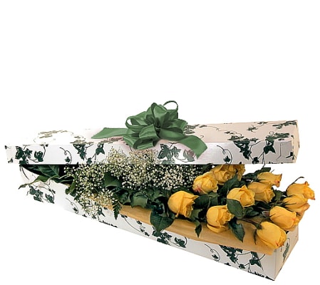 Yellow Roses Boxed