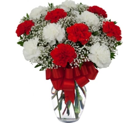 red & white carnations vased