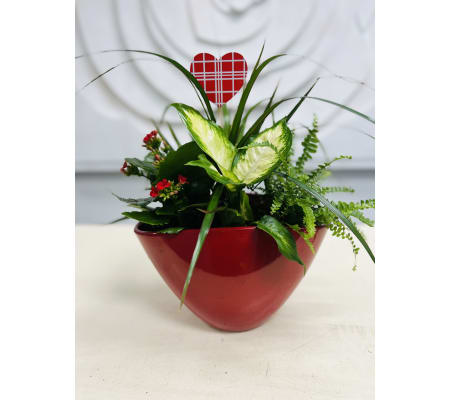 Red Geometric Ceramic Planter