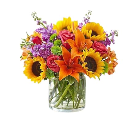 Tallevast Cheerful Blooms