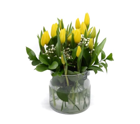 'Brighten the Day' Tulips