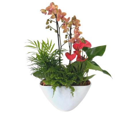 Large EileenTropical Planter