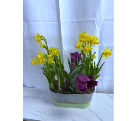 Small Spring Planter Pot