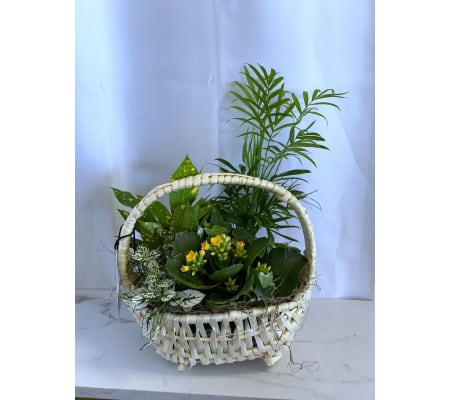 Delaware Small Garden Basket