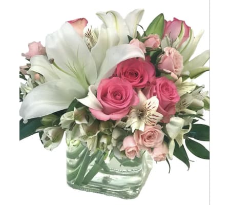 The Timeless Treasure