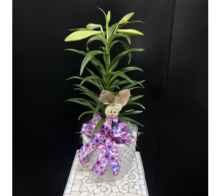 Marivel's Loving Bunny Easter Lily Plant