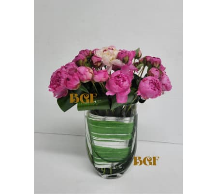 Jewels in Pink Peonies