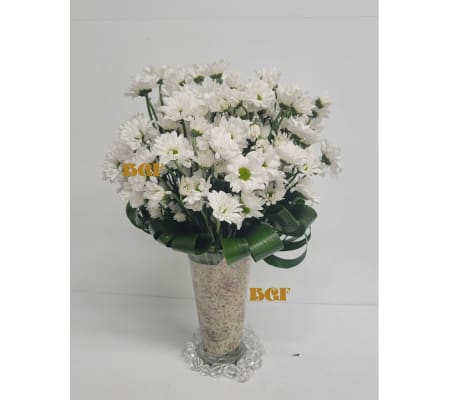 White Margaritas Explosion