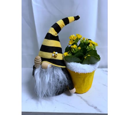 Bee Keeper Gnome - Old Man Gnome