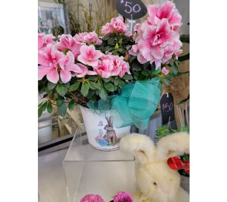 Pink Azalea Plant in Decorative Bunny Planter