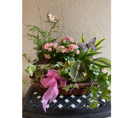 A Garden of memories