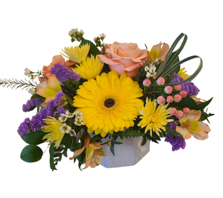 Your Are My Sunshine