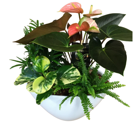 Tropical Elegant Planter