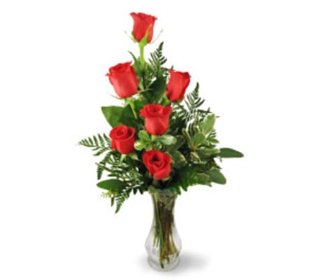 Red Roses for Mom (3, 6 or 12) (vase included)
