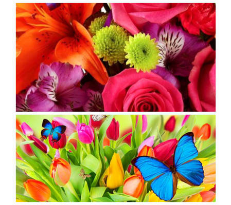 CUSTOM LIFESAVER FLAVOR BUTTERFLY BOUQUET