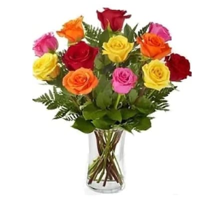 Dozen Roses - Provide 2 Color Choices