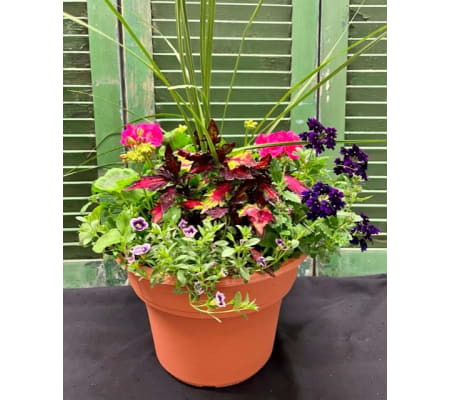 Outdoor Patio Pot--English Garden