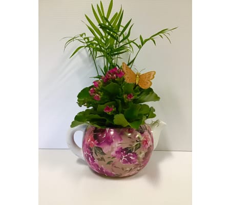 Dahlia teapot planter