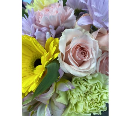 RUSTIC Perfectly Pastels