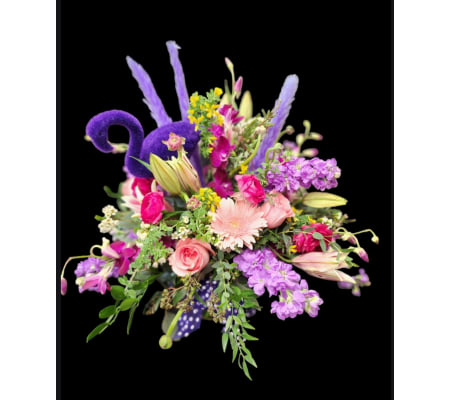 Fabulously Flamboyant Flamingo