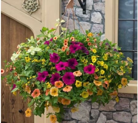 Country Hanging  Basket