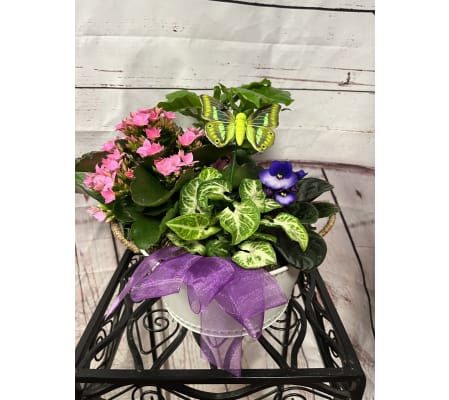 8” beaded tin planter