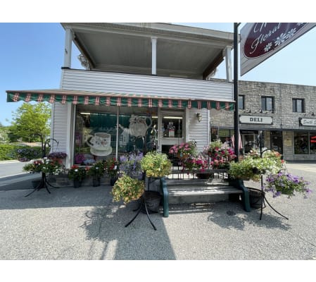 Designers Choice Hanging Basket