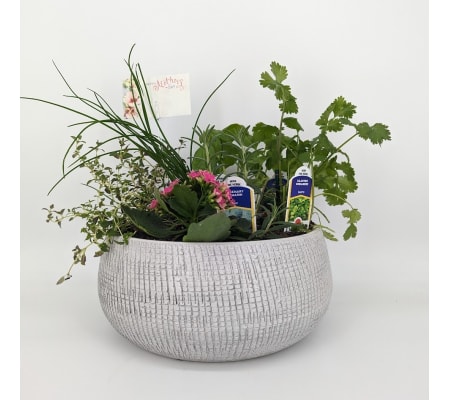 Mothers Day Herb Garden