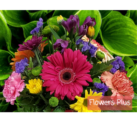 Florist Choice Wrapped Seasonal Bouquet