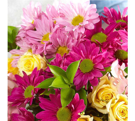 50% OFF - YESTERDAY'S FRESH