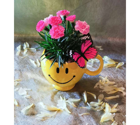 CARNATION PLANT IN HAPPY FACE MUG