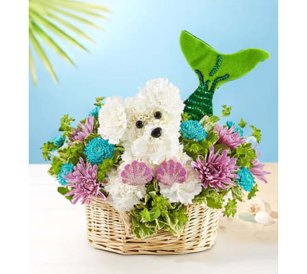 The Seaside Mermaid Dog