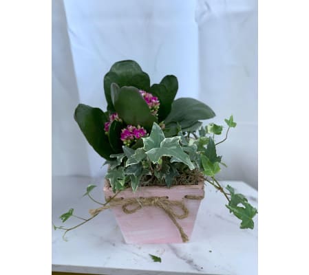 Small Wildflower Box Planter Garden