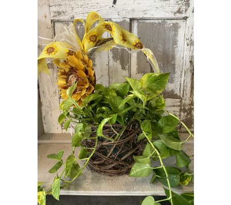 Fall Sunflower Basket with 6” Pothos 2023