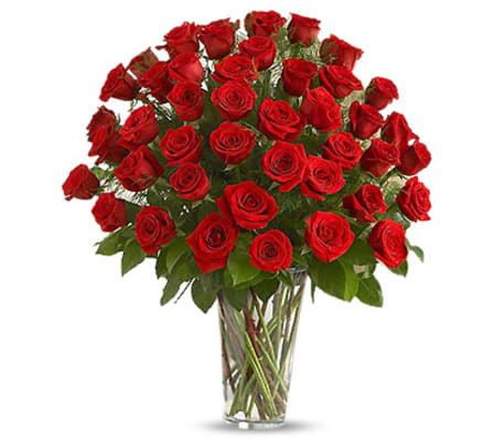 50 Luxury Red Roses (Pre-Order Special!)