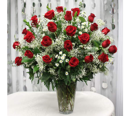 Red Rose Splended Sensation