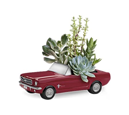 Teleflora's Dream Wheels '65 Ford Mustang