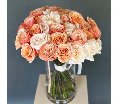 50 Garden Roses Nude Mix