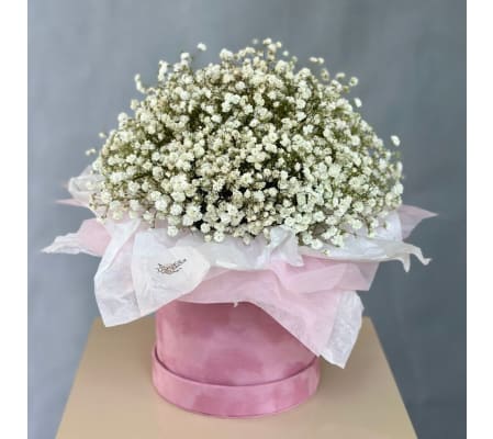 Hat box of Baby's Breath