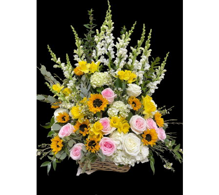 Marivel's Shining Light