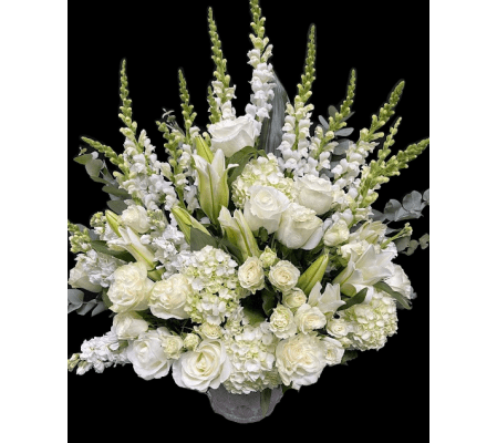 Marivel's Singing Grace