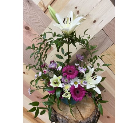 Circle of Friends (Seasonal Colors Vary - Style remains the same)