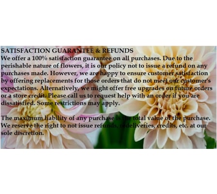 Store Policy no Refunds