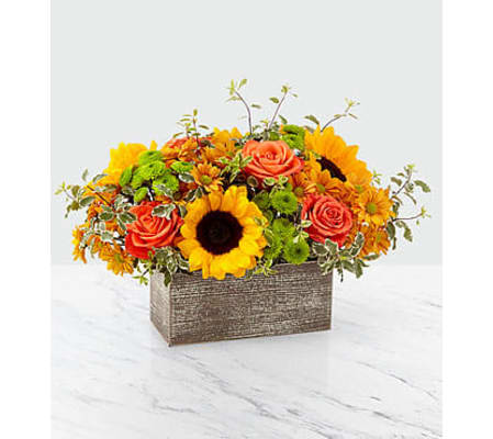 Bright Autumn Afternoon