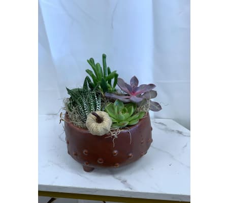 Fall Copper Succulent Pedestal Dish Garden