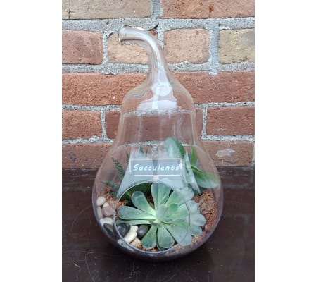 'By Design Glass Pear Terrarium